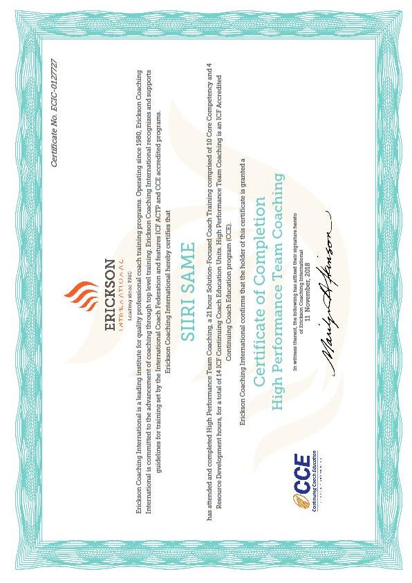 team coaching certificate